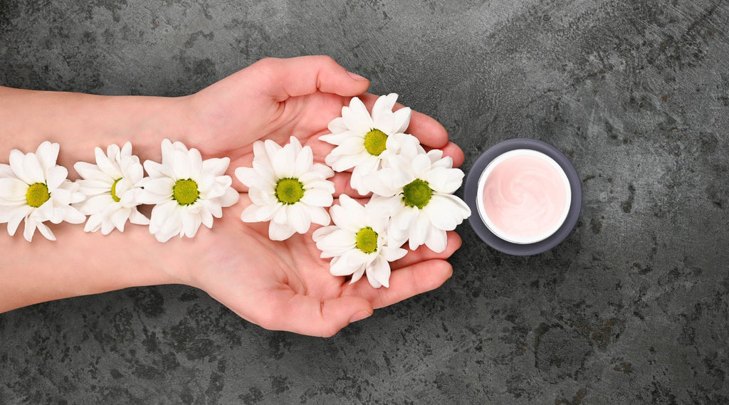 Les bienfaits de la camomille en cosmétique : Une fleur douce pour une peau apaisée et éclatante